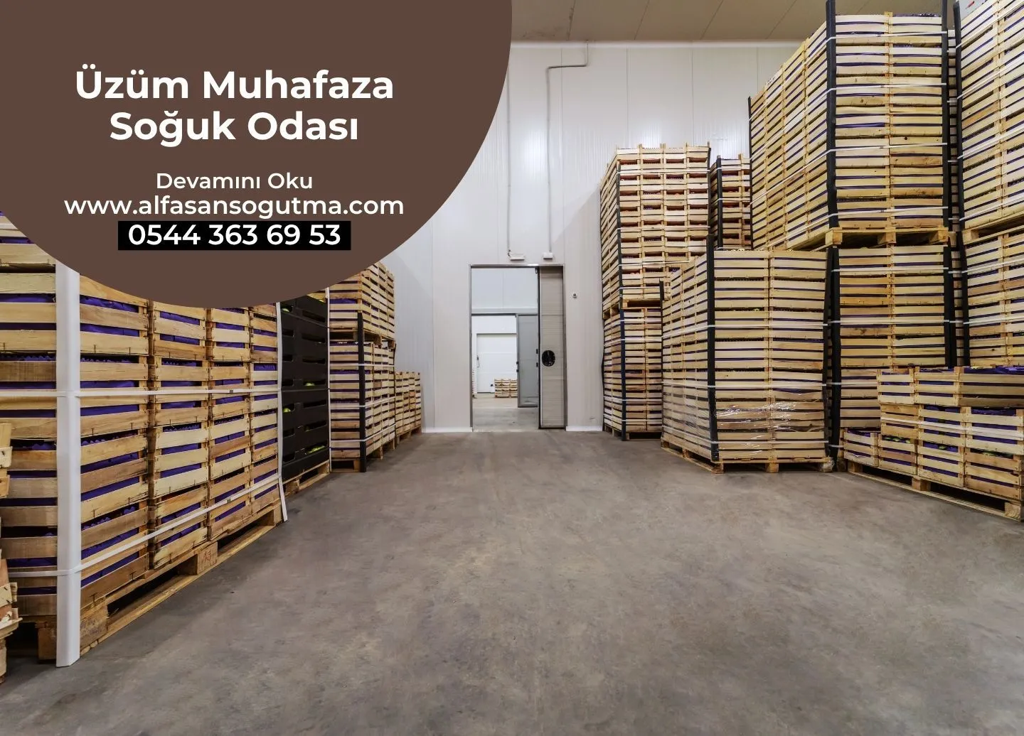 Üzüm Muhafaza Soğuk Odası